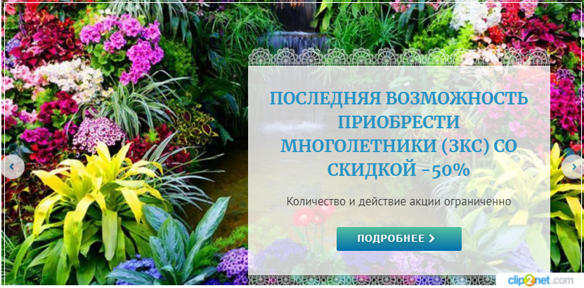 Купить саженцы растений для сада по самым выгодным ценам - АКЦИИ ...