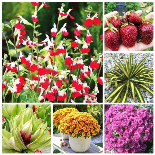 Комплекты и наборы - выгодно! Комплекты и наборы - выгодно!