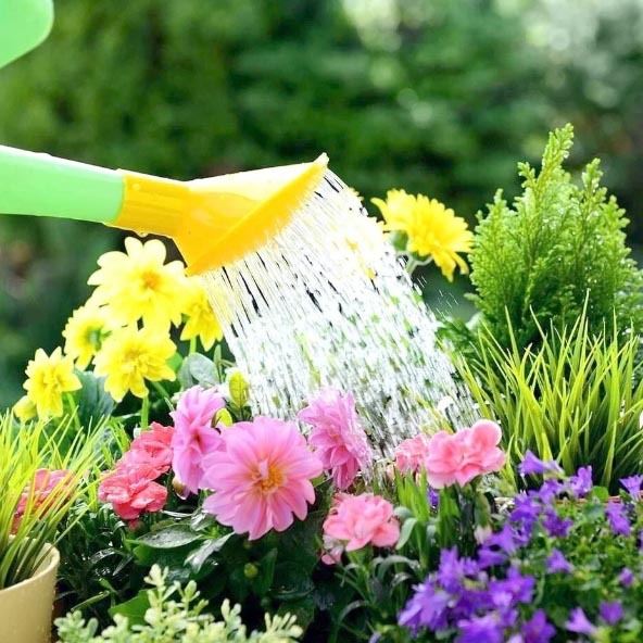 Сопутствующие товары Сопутствующие товары