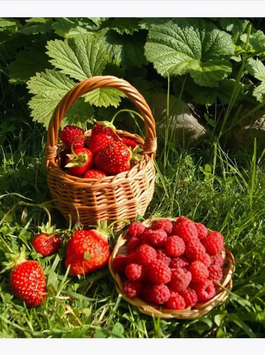 Здравень для клубники и малины 150 гр