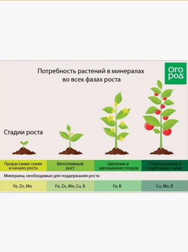 Здравень для томатов 150 гр