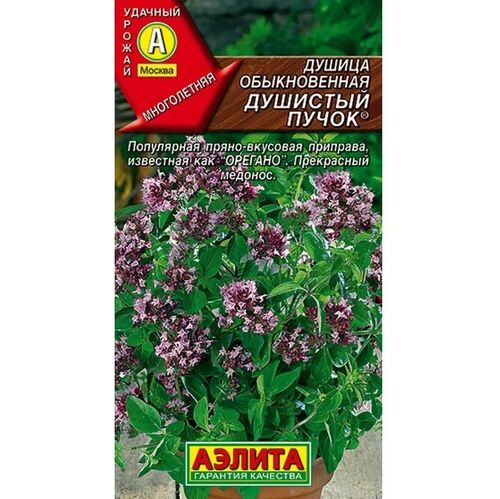 Душица обыкновенная Душистый пучок семена