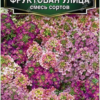 Алиссум Фруктовая улица, смесь сортов семена