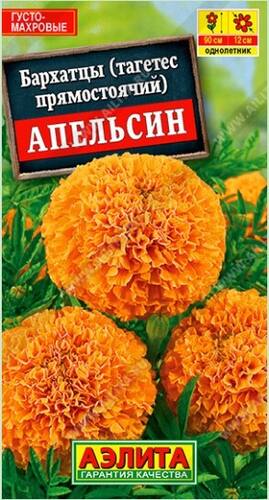 Бархатцы Апельсин прямостоячие