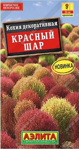 Кохия Красный шар семена