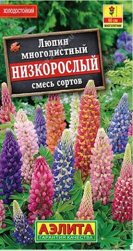 Купить Семена Низкорослых Цветов