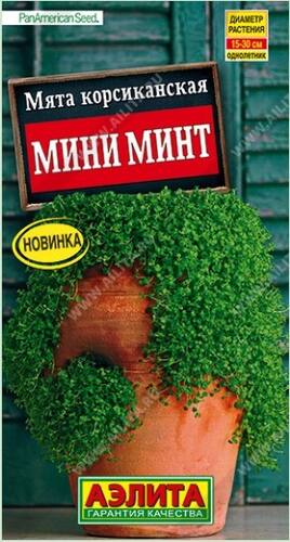 Мята корсиканская Мини минт семена
