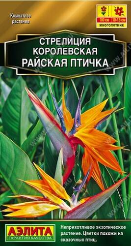 Стрелиция королевская Райская птичка семена