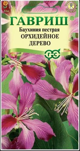Баухиния Орхидейное дерево семена