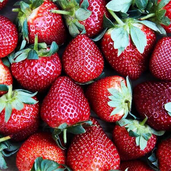 Сроки созревания ранние - среднеспелые