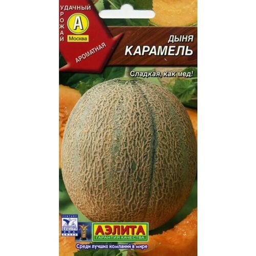 Дыня Карамель семена