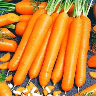 Морковь Детская сладость семена