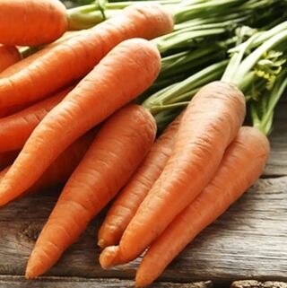 Морковь Нантская 4 семена