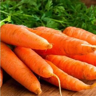 Морковь Сахарная королева семена