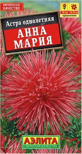 Астра Анна Мария семена