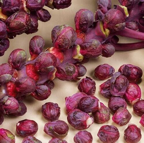 Капуста брюссельская Рубиновый Гурман семена