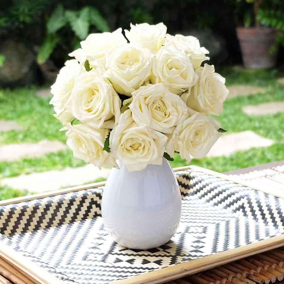 Роза Вайт Фото И Описание