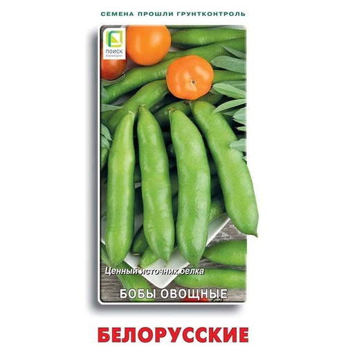 Бобы овощные Белорусские семена