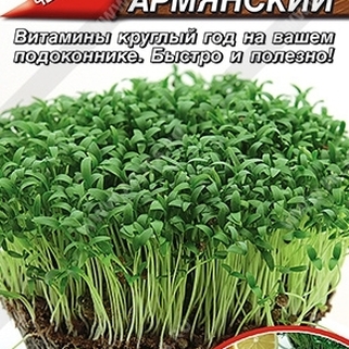 Микрозелень Кориандр овощной (Кинза) Армянский семена