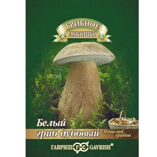 Белый гриб Дубовый на зерновом субстрате, семена, 15 мл